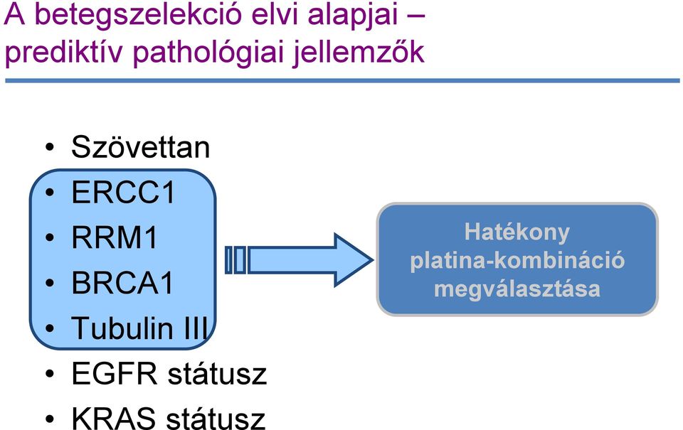 RRM1 BRCA1 Tubulin III EGFR státusz KRAS