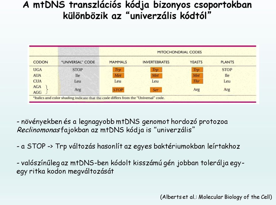 -> Trp változás hasonlít az egyes baktériumokban leírtakhoz - valószínűleg az mtdns-ben kódolt