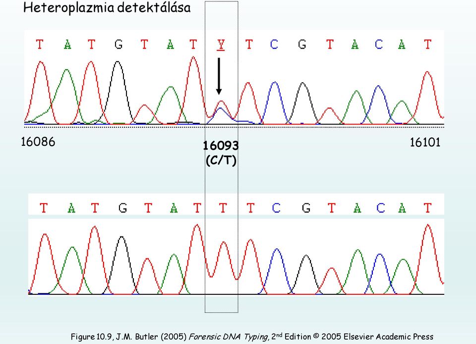 Butler (2005) Forensic DNA Typing,