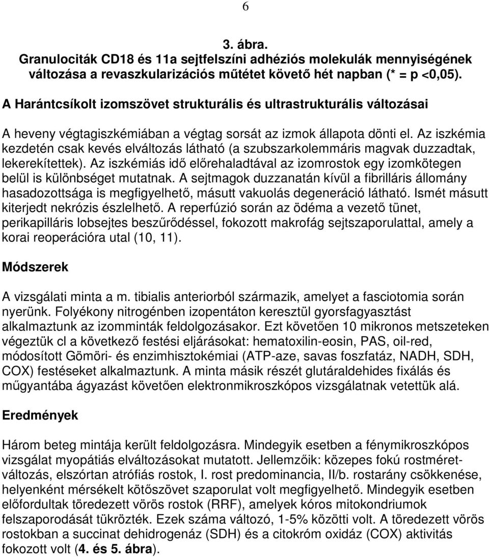 Az iszkémia kezdetén csak kevés elváltozás látható (a szubszarkolemmáris magvak duzzadtak, lekerekítettek).