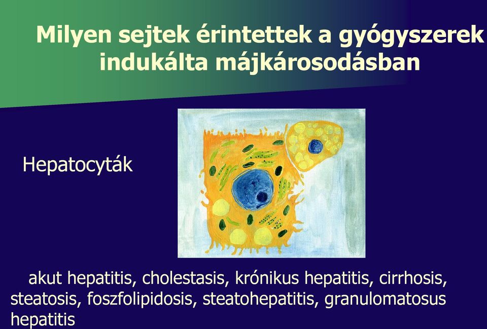 cholestasis, krónikus hepatitis, cirrhosis,