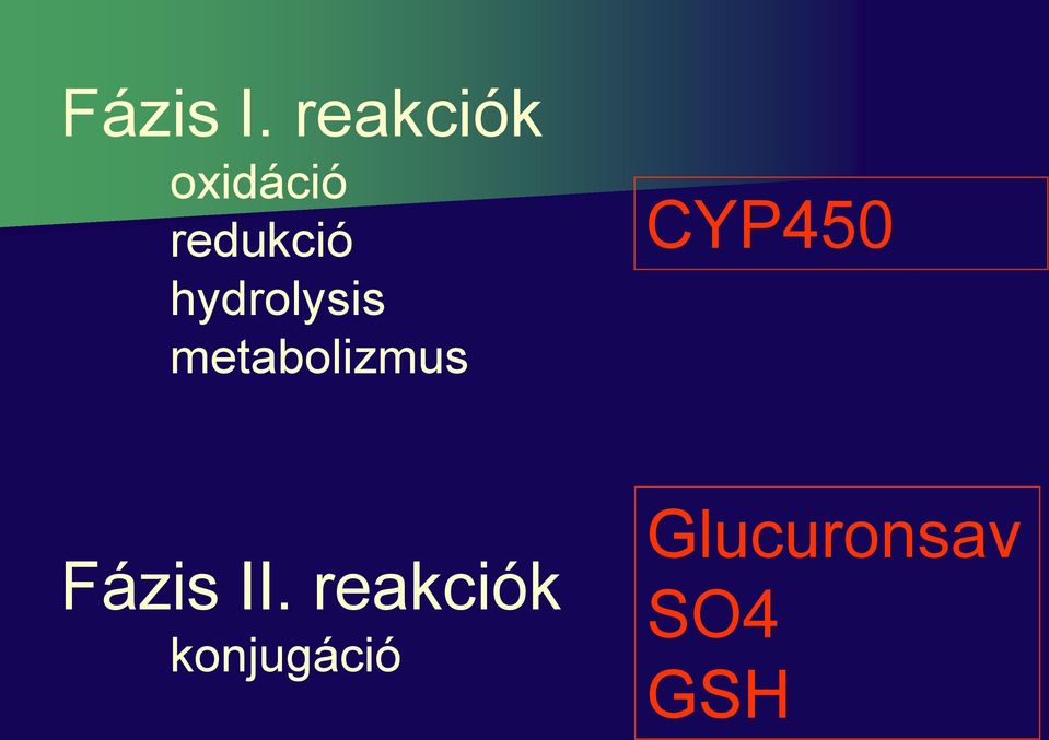 hydrolysis metabolizmus