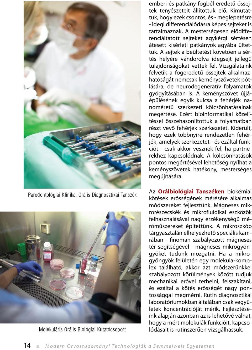 A sejtek a beültetést követően a sértés helyére vándorolva idegsejt jellegű tulajdonságokat vettek fel.