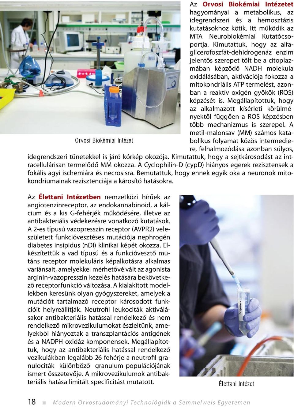 reaktív oxigén gyökök (ROS) képzését is. Megállapítottuk, hogy az alkalmazott kísérleti körülményektől függően a ROS képzésben több mechanizmus is szerepel.
