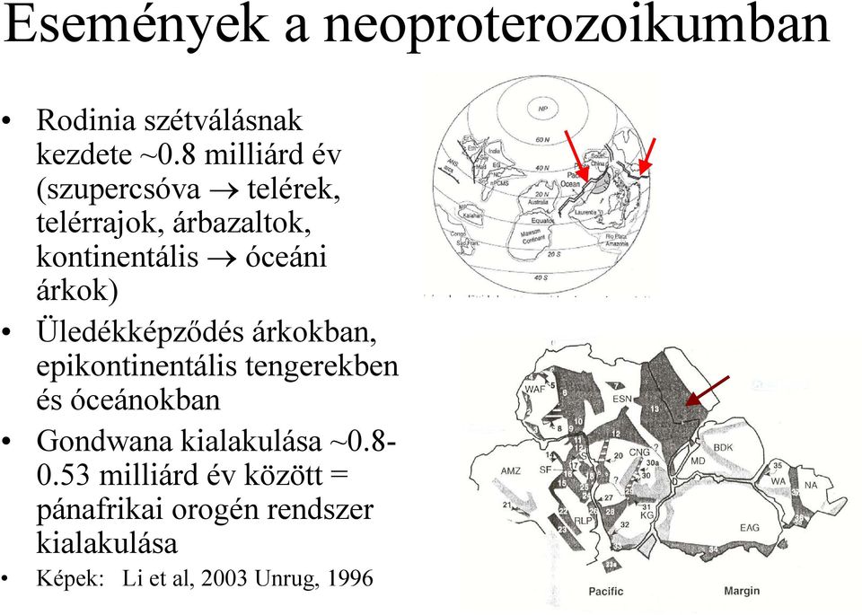 árkok) Üledékképzıdés árkokban, epikontinentális tengerekben és óceánokban Gondwana