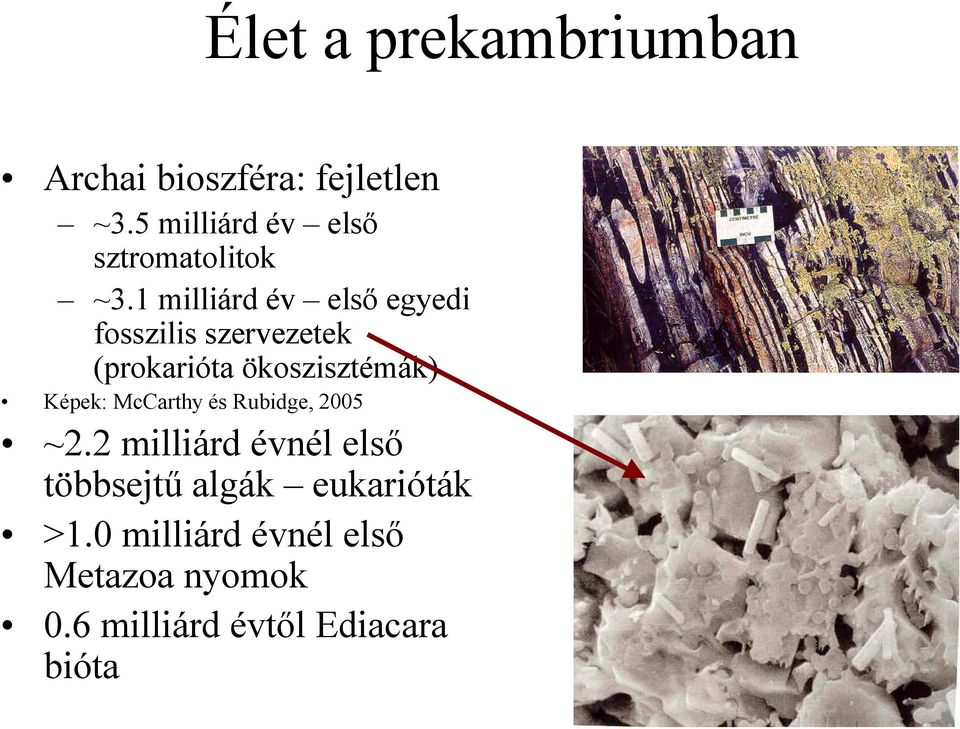 1 milliárd év elsı egyedi fosszilis szervezetek (prokarióta ökoszisztémák)