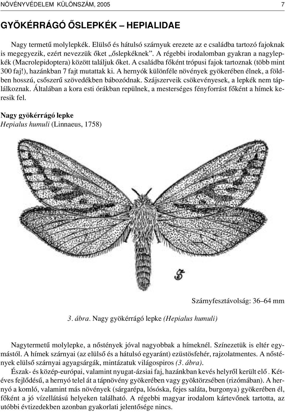A családba fôként trópusi fajok tartoznak (több mint 300 faj!), hazánkban 7 fajt mutattak ki. A hernyók különféle növények gyökerében élnek, a földben hosszú, csôszerû szövedékben bábozódnak.