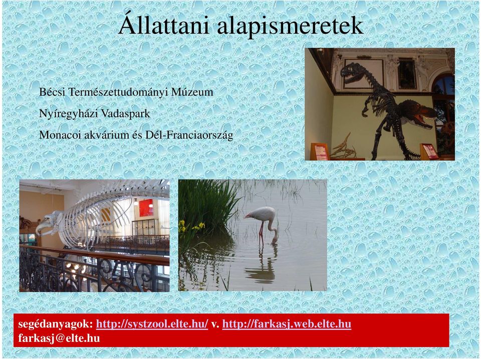 Dél-Franciaország segédanyagok: http://systzool.