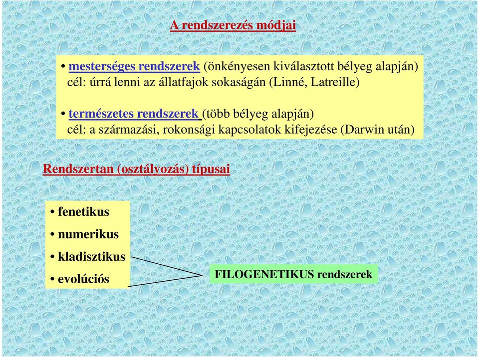 bélyeg alapján) cél: a származási, rokonsági kapcsolatok kifejezése (Darwin után)