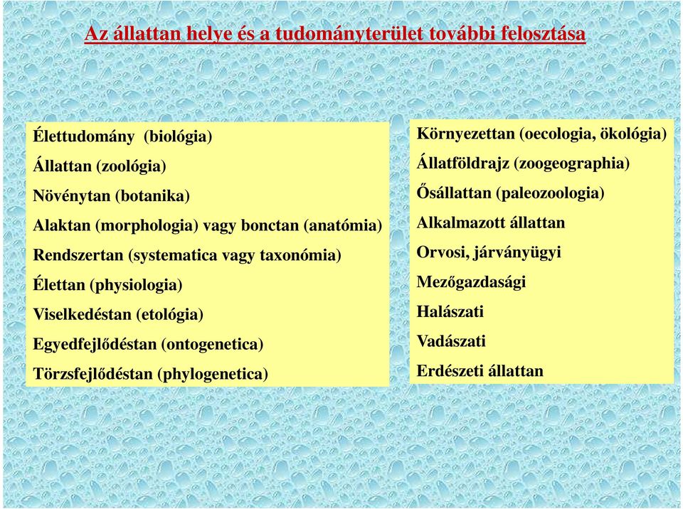 (etológia) Egyedfejlődéstan (ontogenetica) Törzsfejlődéstan (phylogenetica) Környezettan (oecologia, ökológia) Állatföldrajz