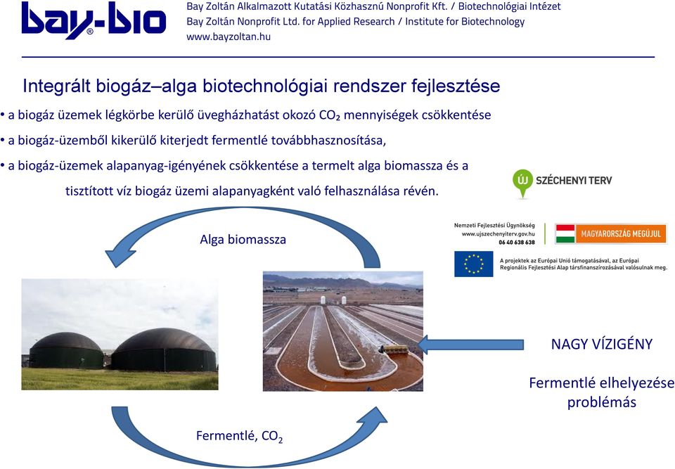 biogáz-üzemek alapanyag-igényének csökkentése a termelt alga biomassza és a tisztított víz biogáz üzemi