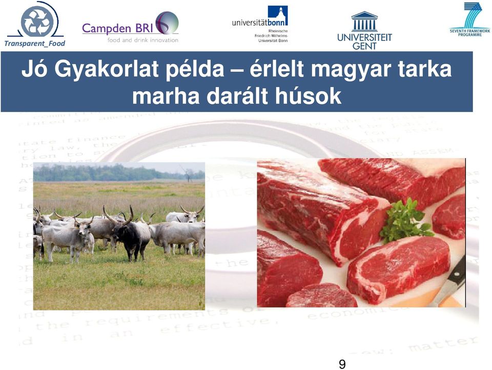 érlelt magyar