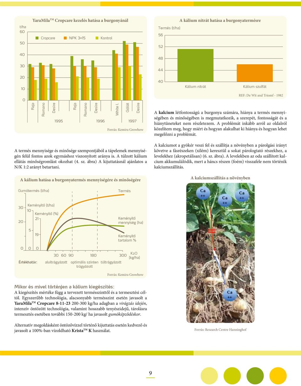 Góliát Desire 1995 1996 1997 Forrás: Kemira Growhow A kalcium létfontosságú a burgonya számára, hiánya a termés mennyiségében és minőségében is megmutatkozik, a szerepét, fontosságát és a