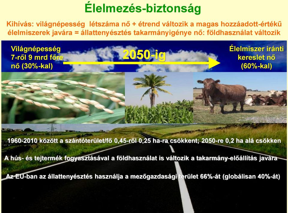 1960-2010 között a szántóterület/fő 0,45-ről 0,25 ha-ra csökkent; 2050-re 0,2 ha alá csökken A hús- és tejtermék fogyasztásával a