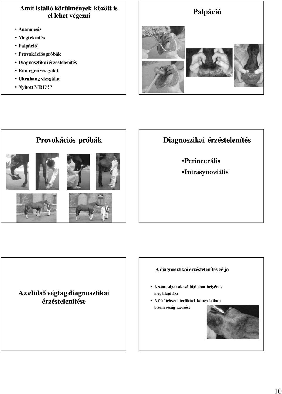 ?? Provokációs próbák Diagnoszikai érzéstelenítés Perineurális Intrasynoviális A diagnosztikai érzéstelenítés célja