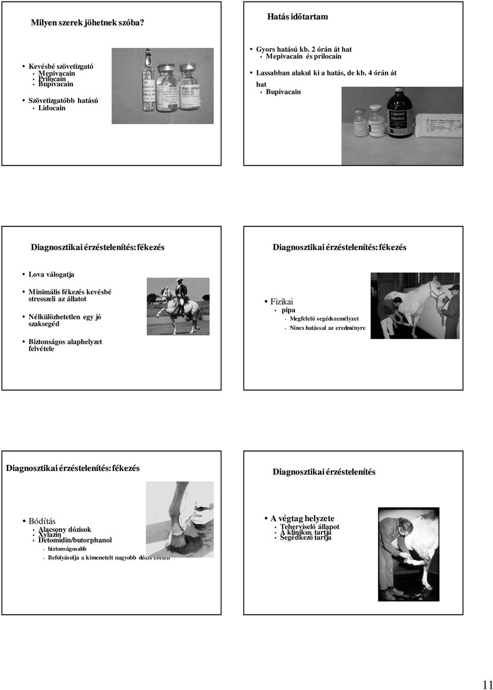 4 órán át hat Bupivacain Diagnosztikai érzéstelenítés: fékezés Diagnosztikai érzéstelenítés: fékezés Lova válogatja Minimális fékezés kevésbé stresszeli az állatot Nélkülözhetetlen egy jó