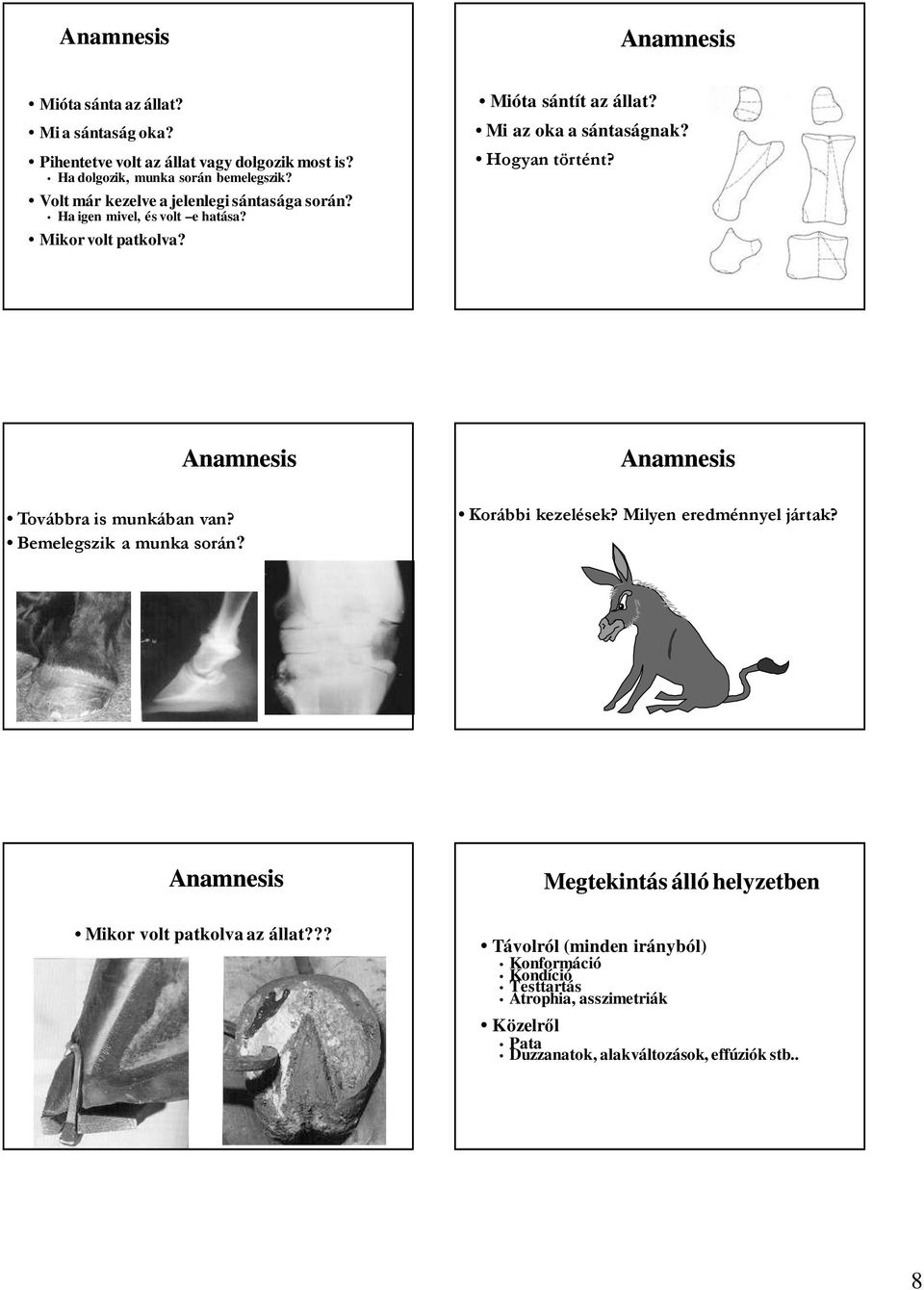 Hogyan történt? Anamnesis Anamnesis Továbbra is munkában van? Bemelegszik a munka során? Korábbi kezelések? Milyen eredménnyel jártak?