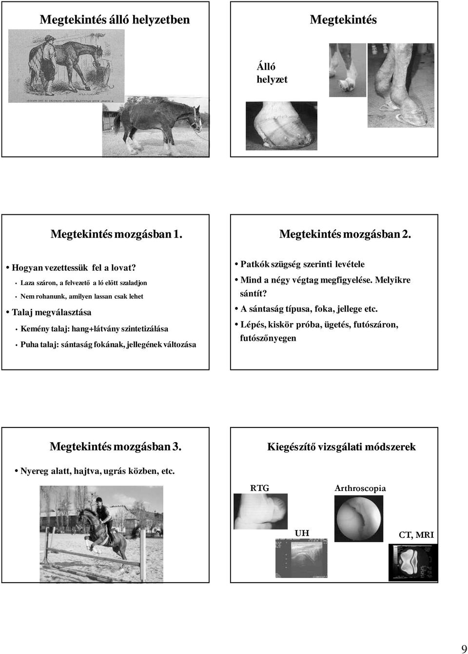 sántaság fokának, jellegének változása Patkók szügség szerinti levétele Mind a négy végtag megfigyelése. Melyikre sántít? A sántaság típusa, foka, jellege etc.