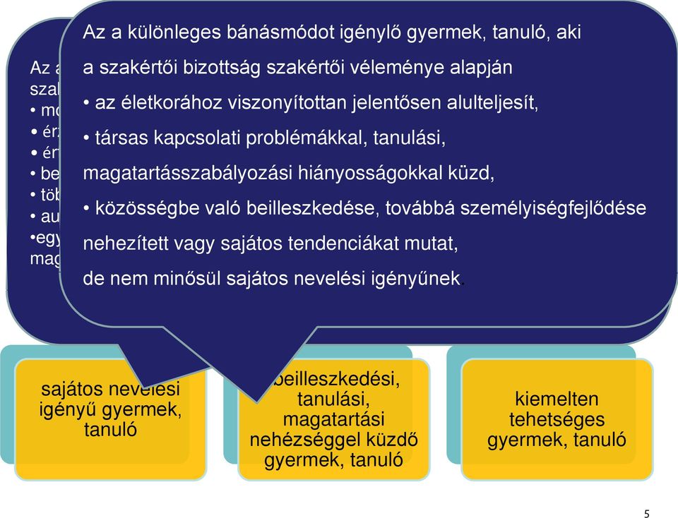 beszédfogyatékos, magatartásszabályozási hiányosságokkal küzd, több fogyatékosság együttes előfordulása esetén halmozottan fogyatékos, autizmus spektrum zavarral vagy hátrányos egyéb pszichés