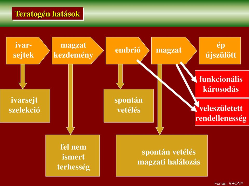 funkcionális károsodás veleszületett rendellenesség fel