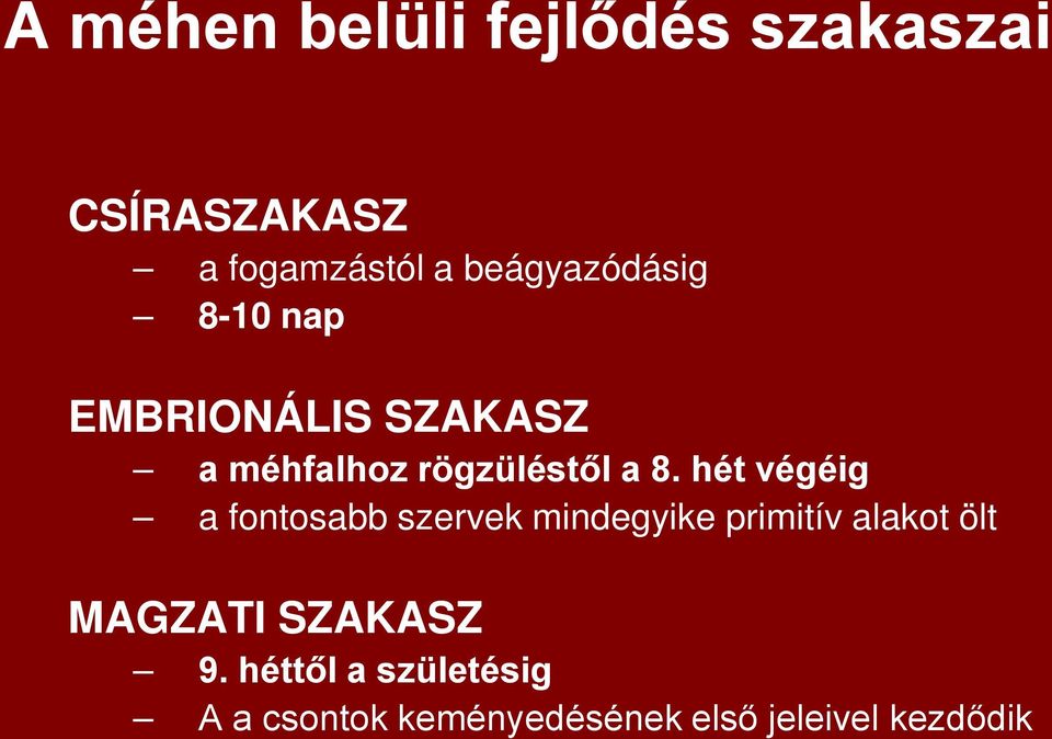hét végéig a fontosabb szervek mindegyike primitív alakot ölt MAGZATI