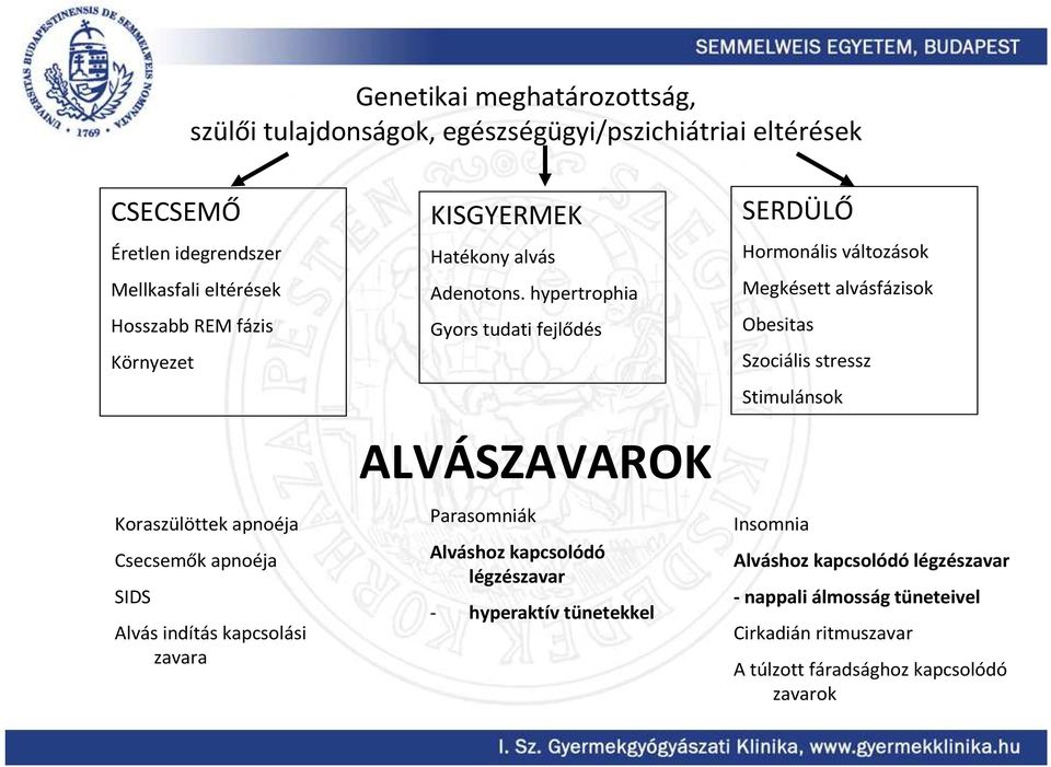 hypertrophia Gyors tudati fejlődés ALVÁSZAVAROK Parasomniák Alváshoz kapcsolódó légzészavar - hyperaktív tünetekkel SERDÜLŐ Hormonális változások Megkésett