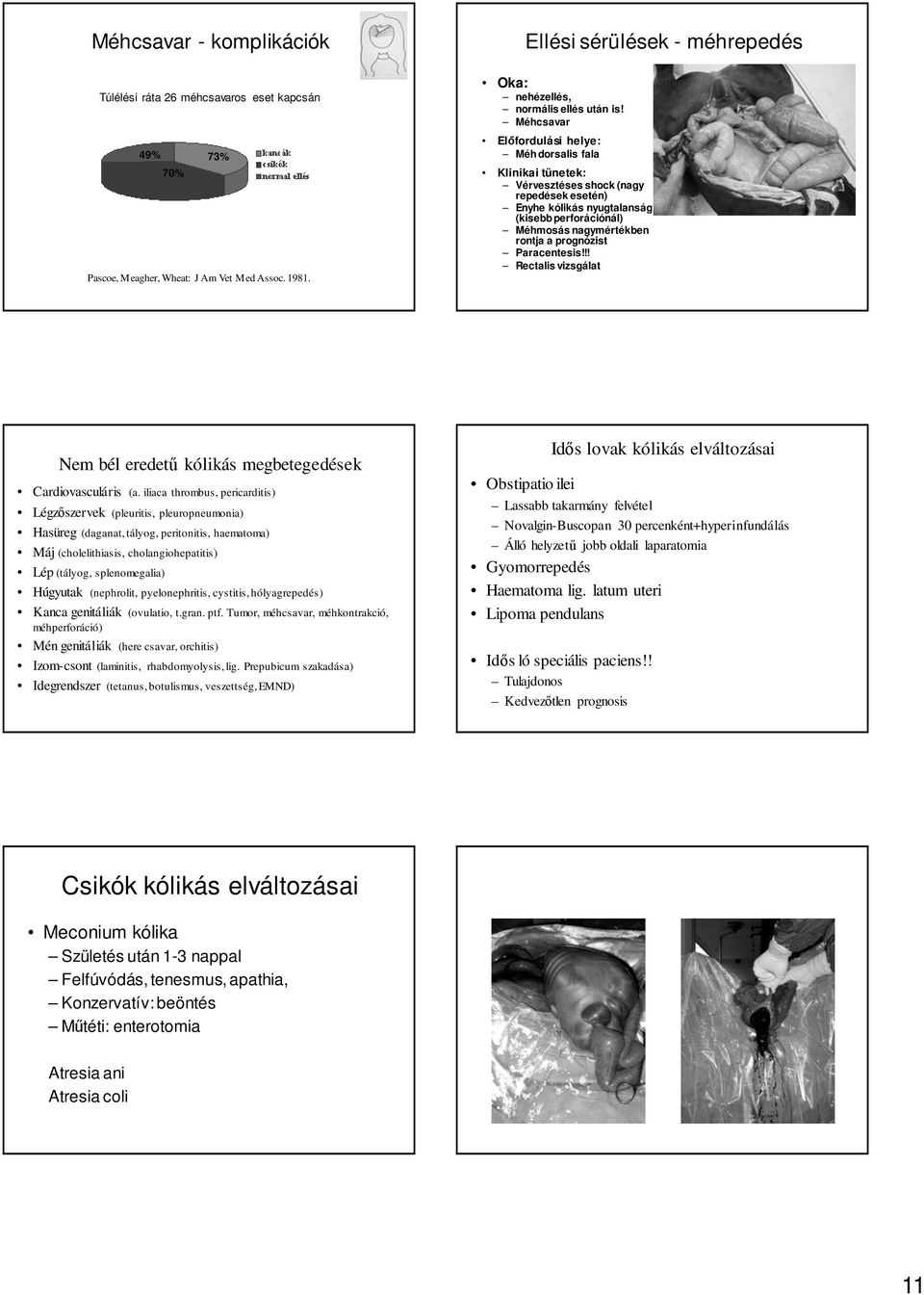 prognózist Paracentesis!!! Rectalis vizsgálat Nem bél eredetű kólikás megbetegedések Cardiovasculáris (a.