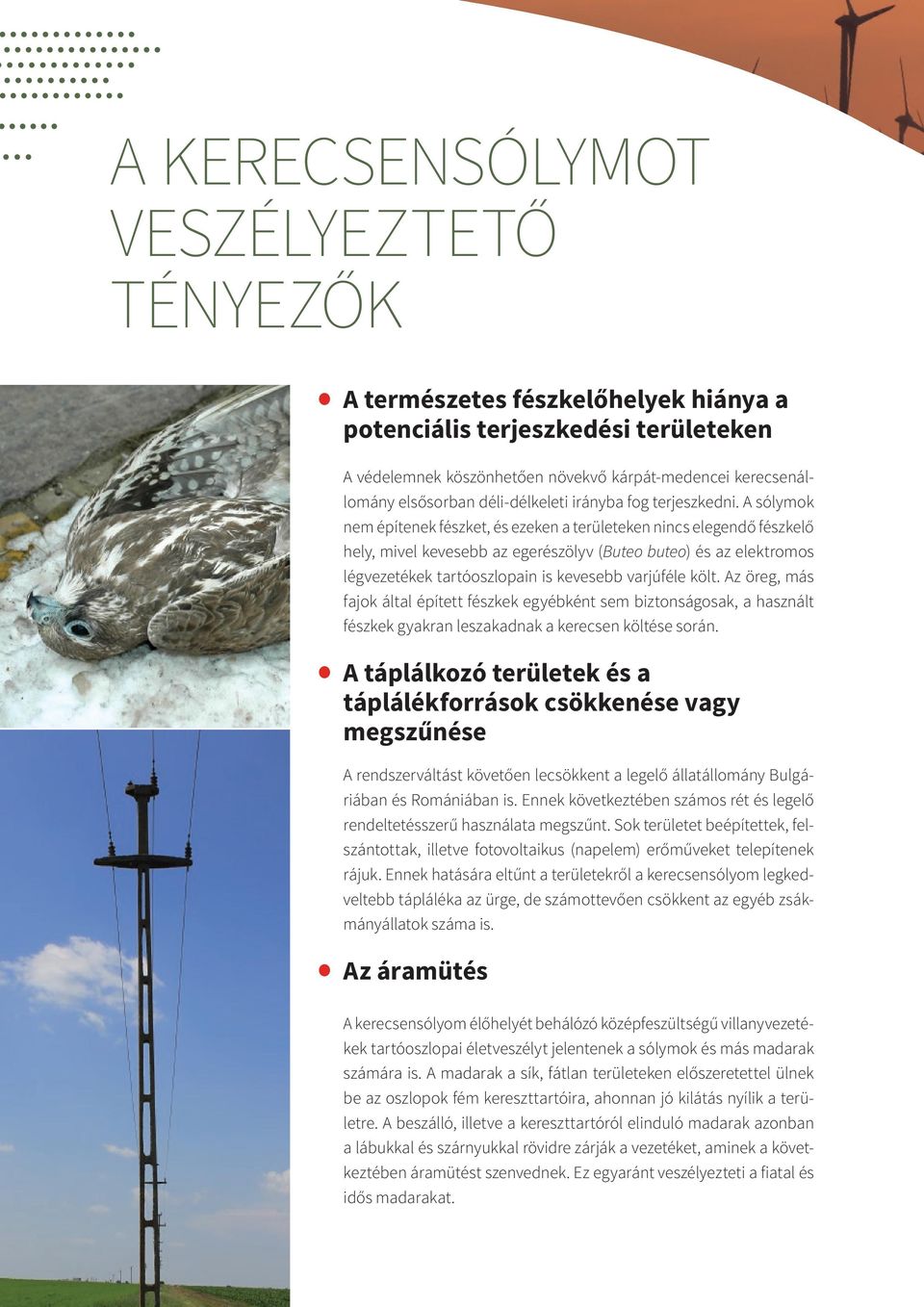 A sólymok nem építenek fészket, és ezeken a területeken nincs elegendő fészkelő hely, mivel kevesebb az egerészölyv (Buteo buteo) és az elektromos légvezetékek tartóoszlopain is kevesebb varjúféle