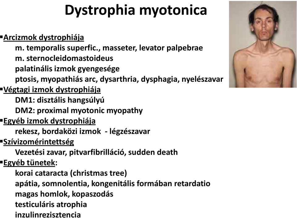 disztális hangsúlyú DM2: proximal myotonic myopathy Egyéb izmok dystrophiája rekesz, bordaközi izmok - légzészavar Szívizomérintettség Vezetési