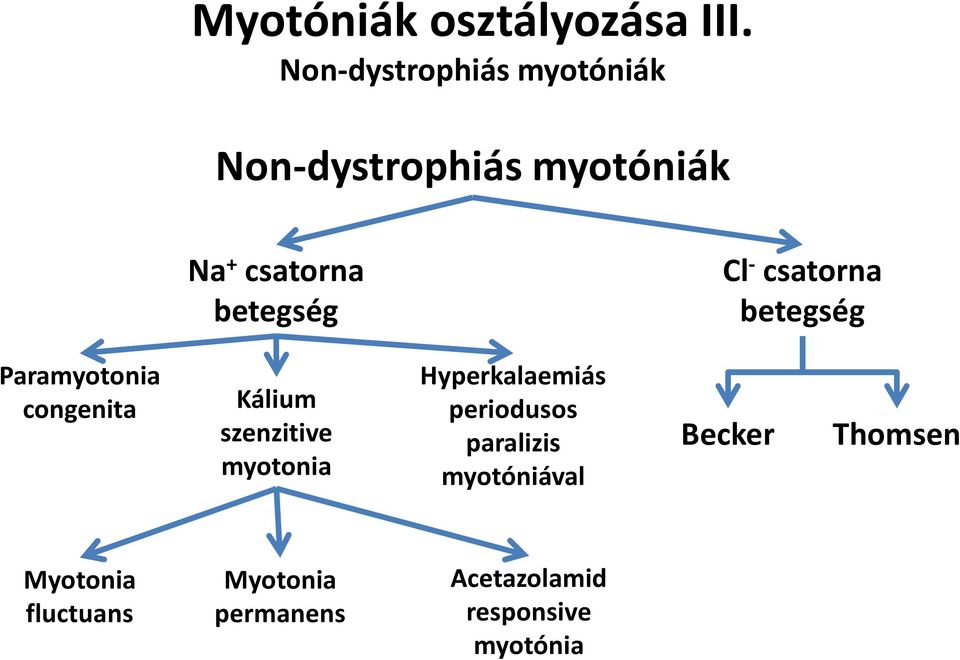 - csatorna betegség Paramyotonia congenita Kálium szenzitive myotonia