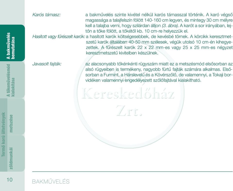 A karót a sor irányában, lejtőn a tőke fölött, a tőkétől kb. 10 cm-re helyezzük el. Hasított vagy fűrészelt karók: a hasított karók költségesebbek, de kevésbé törnek.