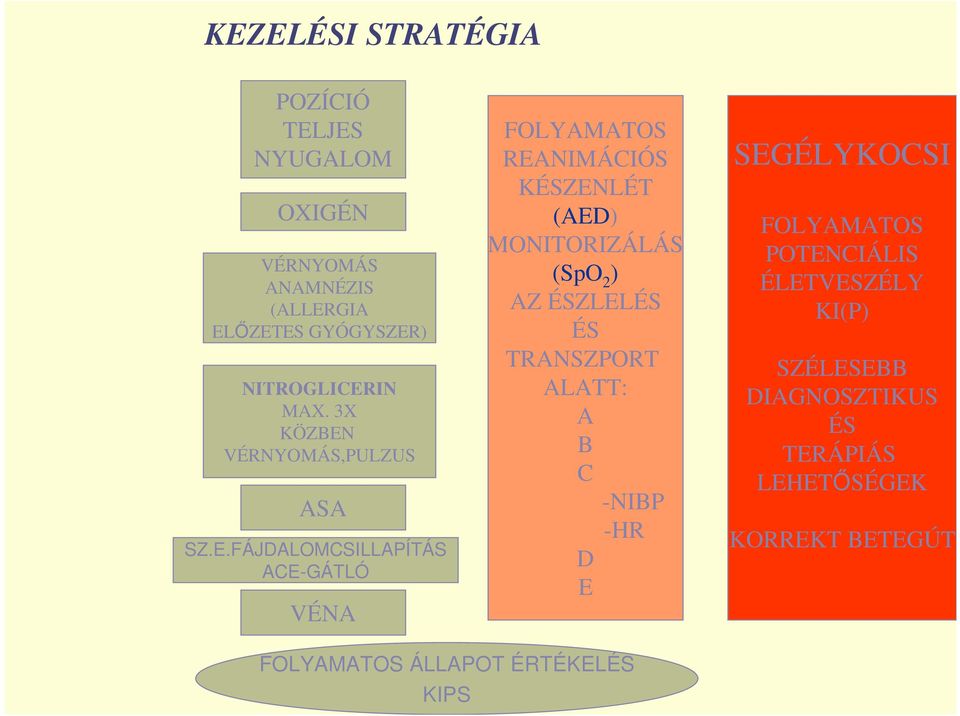 VÉRNYOMÁS,PULZUS ASA SZ.E.