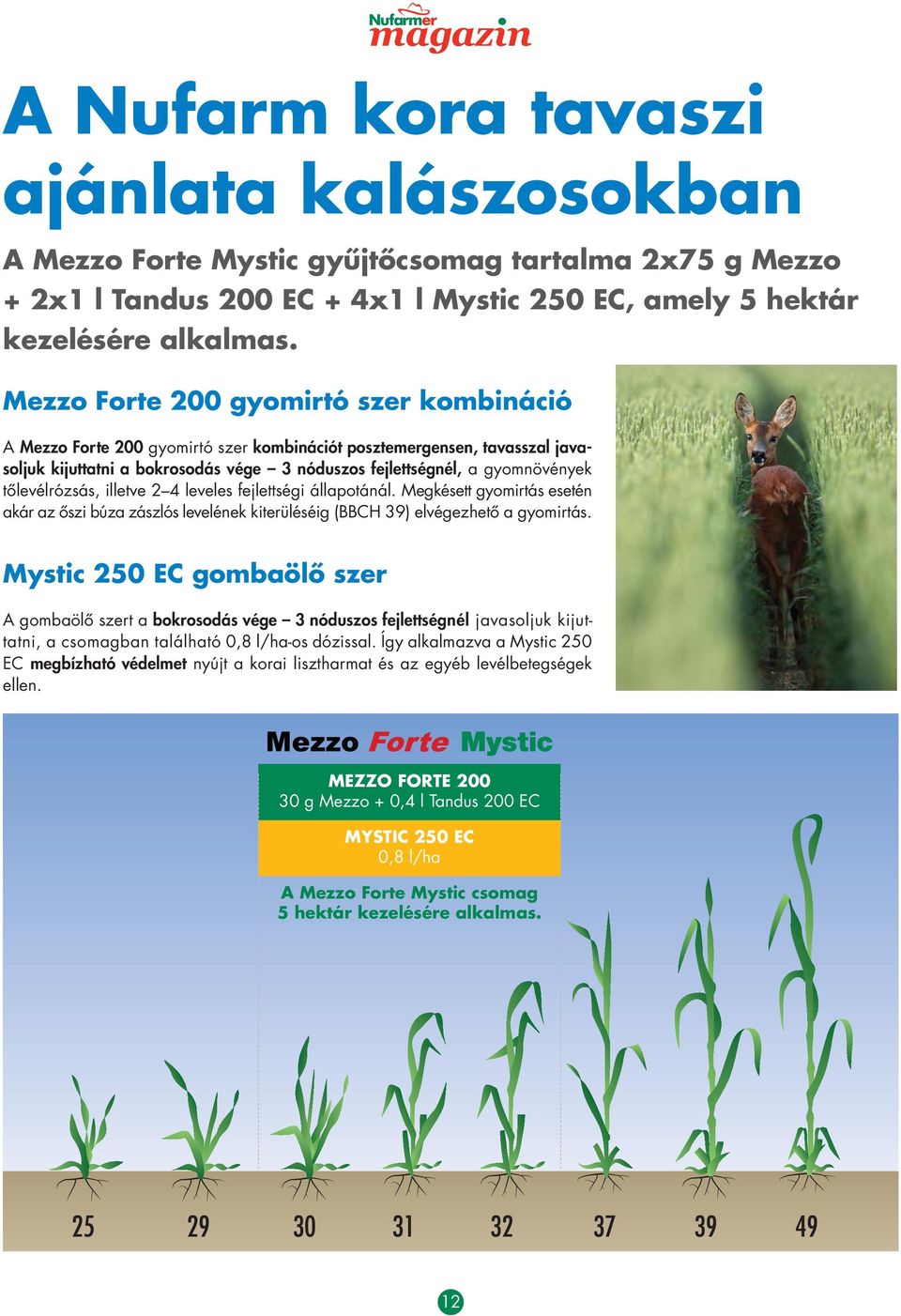 tôlevélrózsás, illetve 2 4 leveles fejlettségi állapotánál. Megkésett gyom irtás esetén akár az ôszi búza zászlós leve lének kite rü léséig (BBCH 39) elvé gezhetô a gyomirtás.