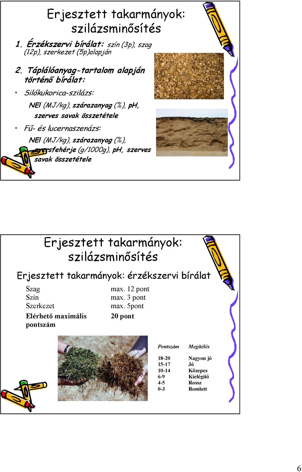 lucernaszenázs: NEl (MJ/kg), szárazanyag (%), nyersfehérje (g/1000g), ph, szerves savak összetétele Erjesztett takarmányok: Erjesztett