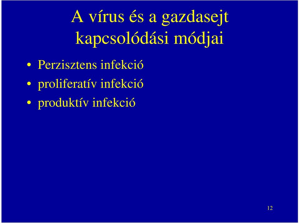 Perzisztens infekció