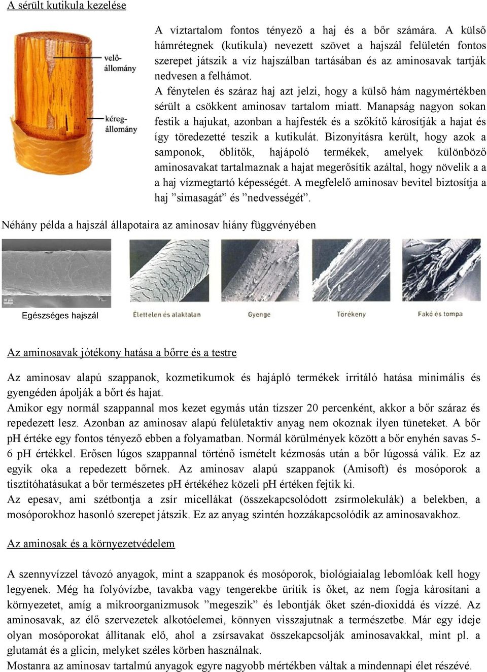 A fénytelen és száraz haj azt jelzi, hogy a külső hám nagymértékben sérült a csökkent aminosav tartalom miatt.