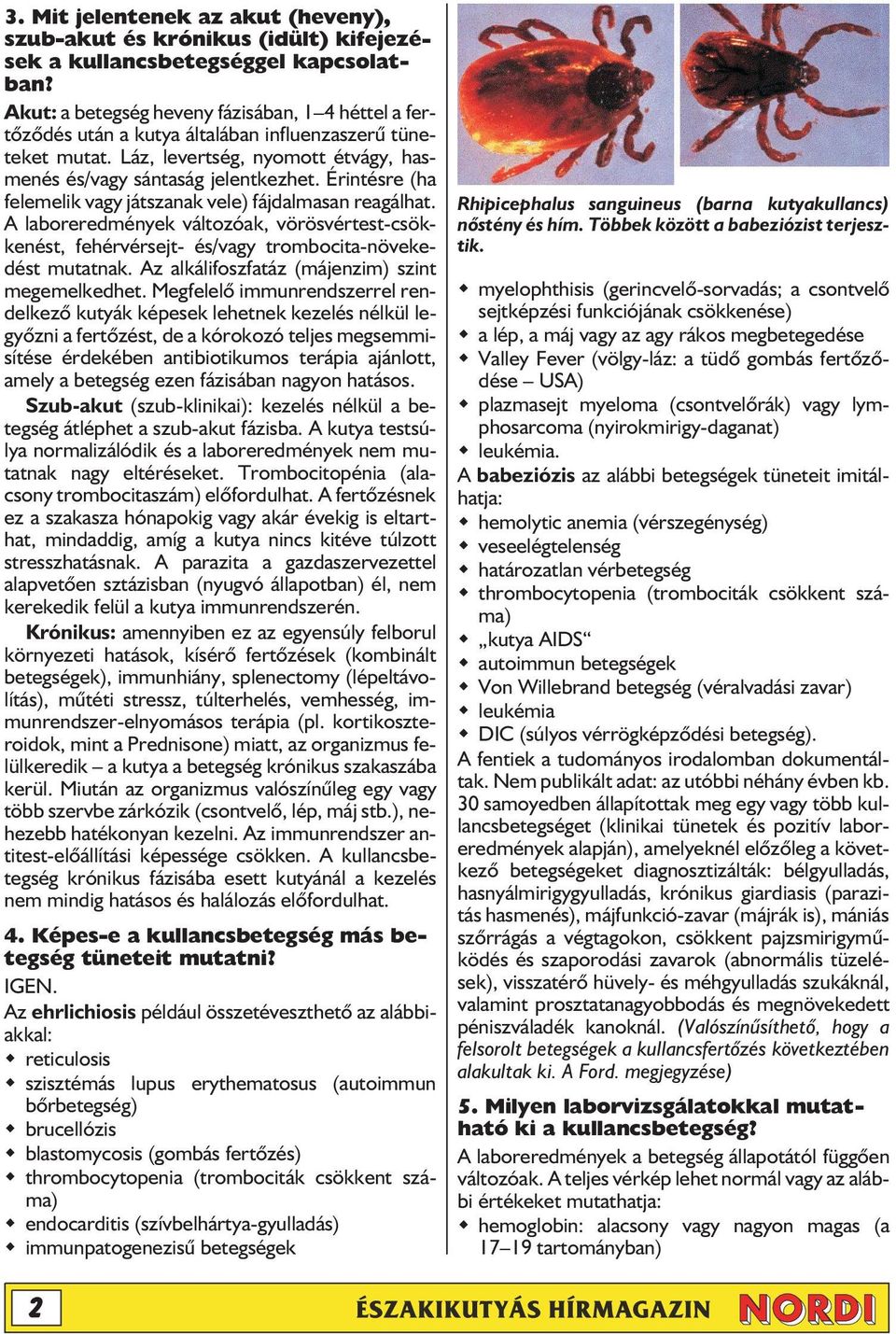 Érintésre (ha felemelik vagy játszanak vele) fájdalmasan reagálhat. A laboreredmények változóak, vörösvértest-csökkenést, fehérvérsejt- és/vagy trombocita-növekedést mutatnak.