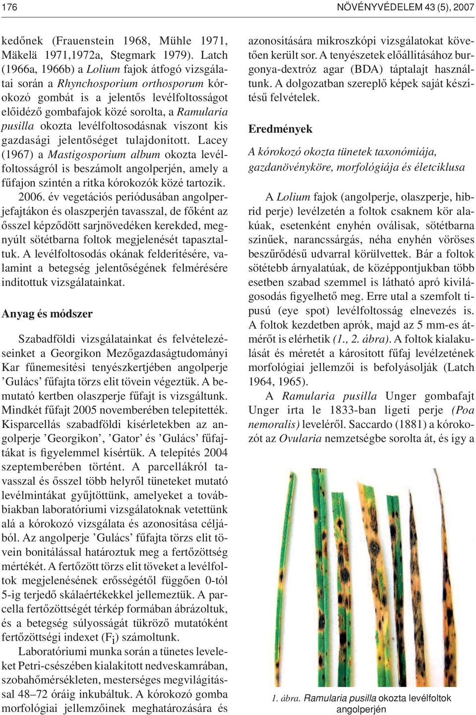 levélfoltosodásnak viszont kis gazdasági jelentôséget tulajdonított.