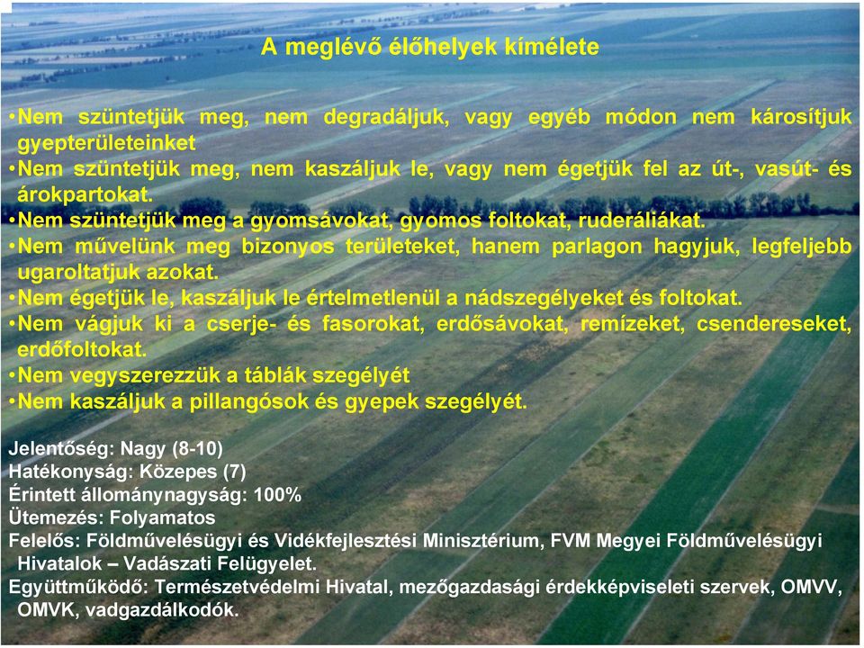 Nem égetjük le, kaszáljuk le értelmetlenül a nádszegélyeket és foltokat. Nem vágjuk ki a cserje- és fasorokat, erdősávokat, remízeket, csendereseket, erdőfoltokat.