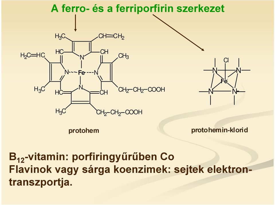 2 CH protohem protohemin-klorid B 12 -vitamin: