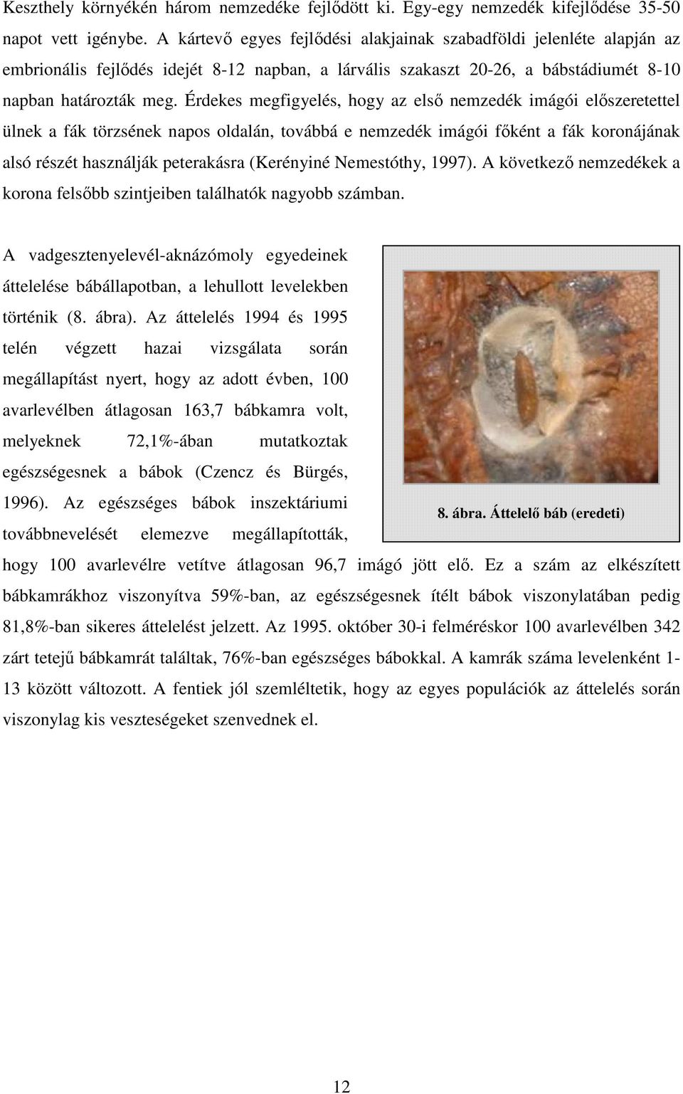 Érdekes megfigyelés, hogy az elsı nemzedék imágói elıszeretettel ülnek a fák törzsének napos oldalán, továbbá e nemzedék imágói fıként a fák koronájának alsó részét használják peterakásra (Kerényiné