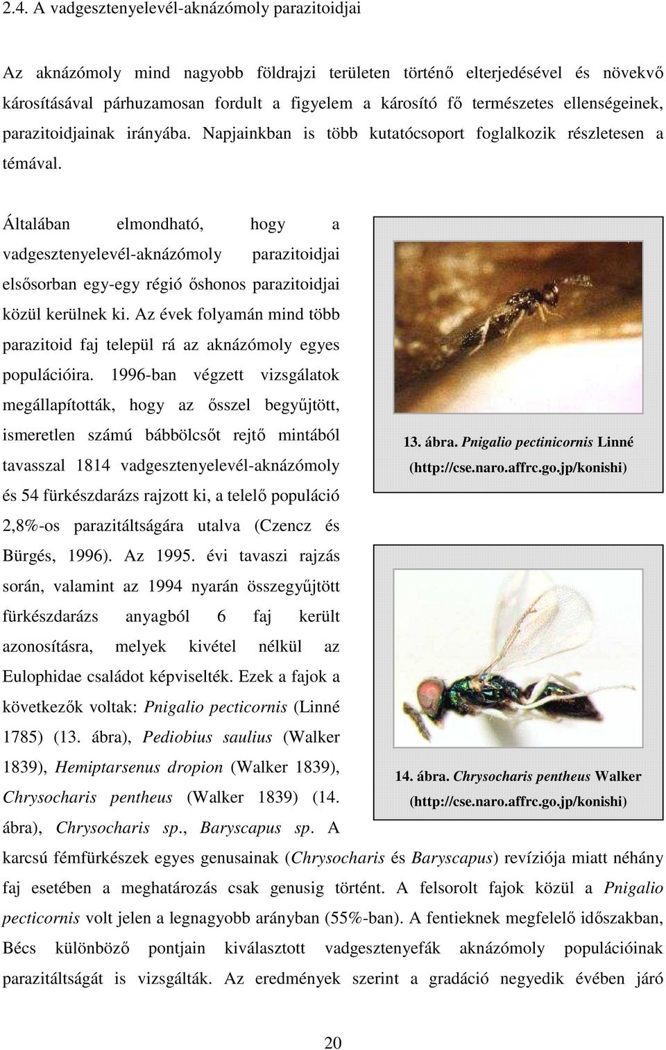 Általában elmondható, hogy a vadgesztenyelevél-aknázómoly parazitoidjai elsısorban egy-egy régió ıshonos parazitoidjai közül kerülnek ki.