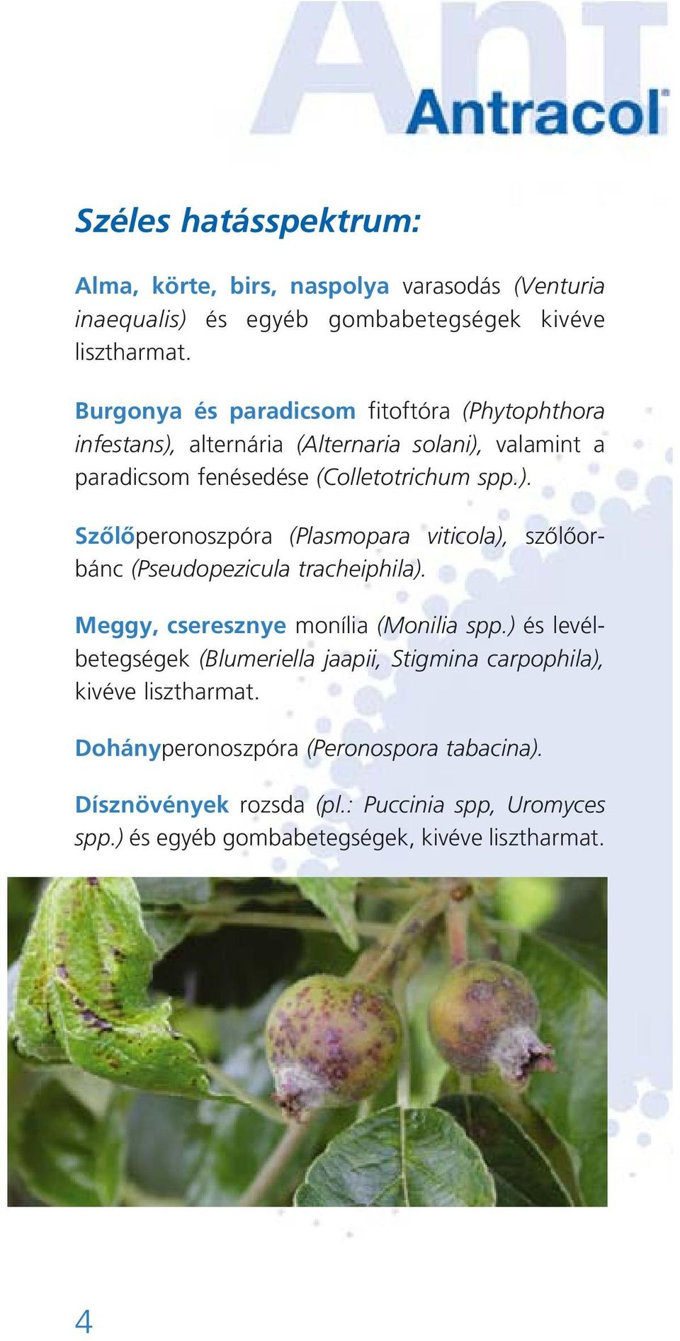Meggy, cseresznye monília (Monilia spp.) és levélbetegségek (Blumeriella jaapii, Stigmina carpophila), kivéve lisztharmat.