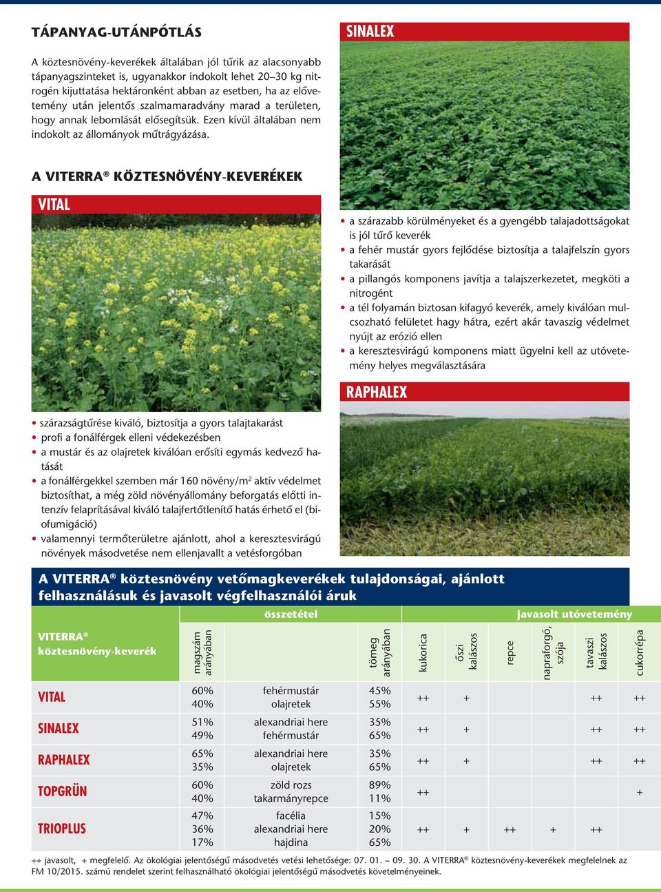 A VITERRA KÖZTESNÖVÉNY-KEVERÉKEK VITAL a szárazabb körülményeket és a gyengébb talajadottságokat is jól tûrô keverék a fehér mustár gyors fejlôdése biztosítja a talajfelszín gyors takarását a