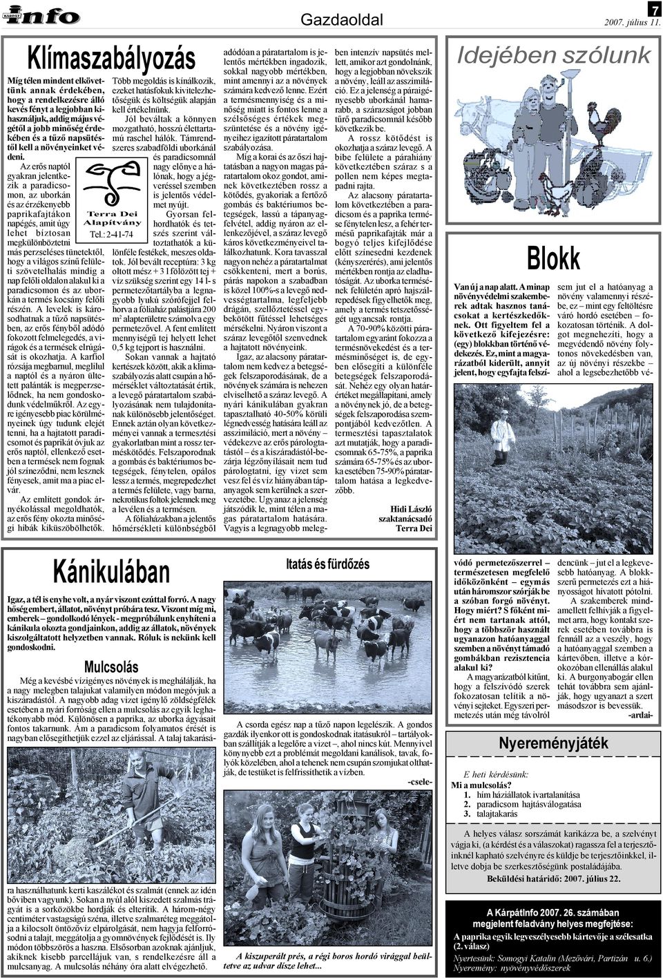 article thumbnail