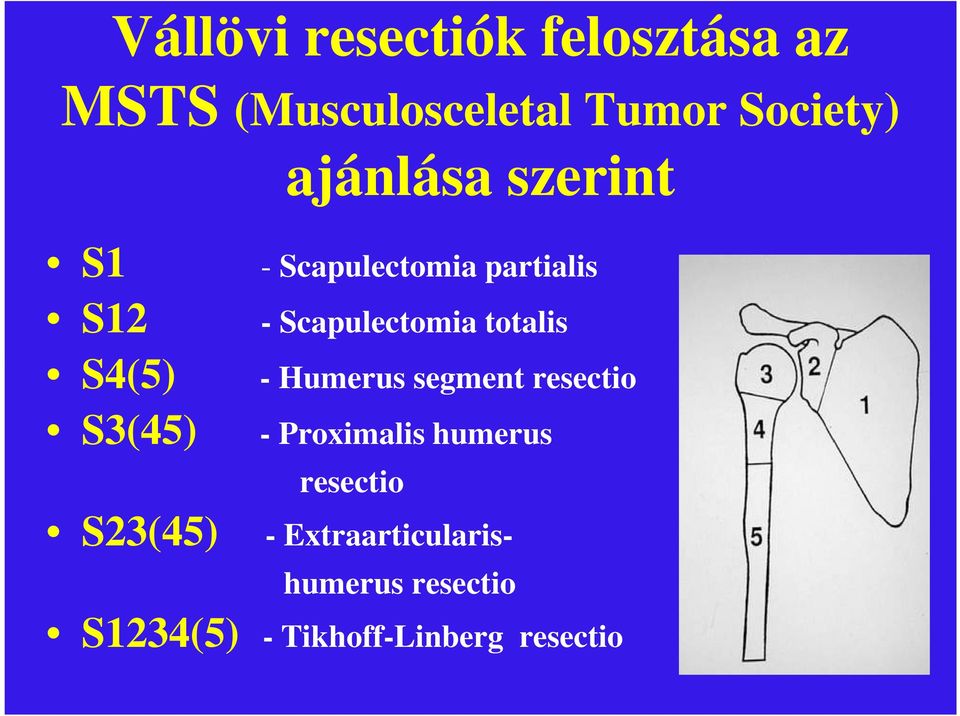 Scapulectomia totalis - Humerus segment resectio - Proximalis humerus