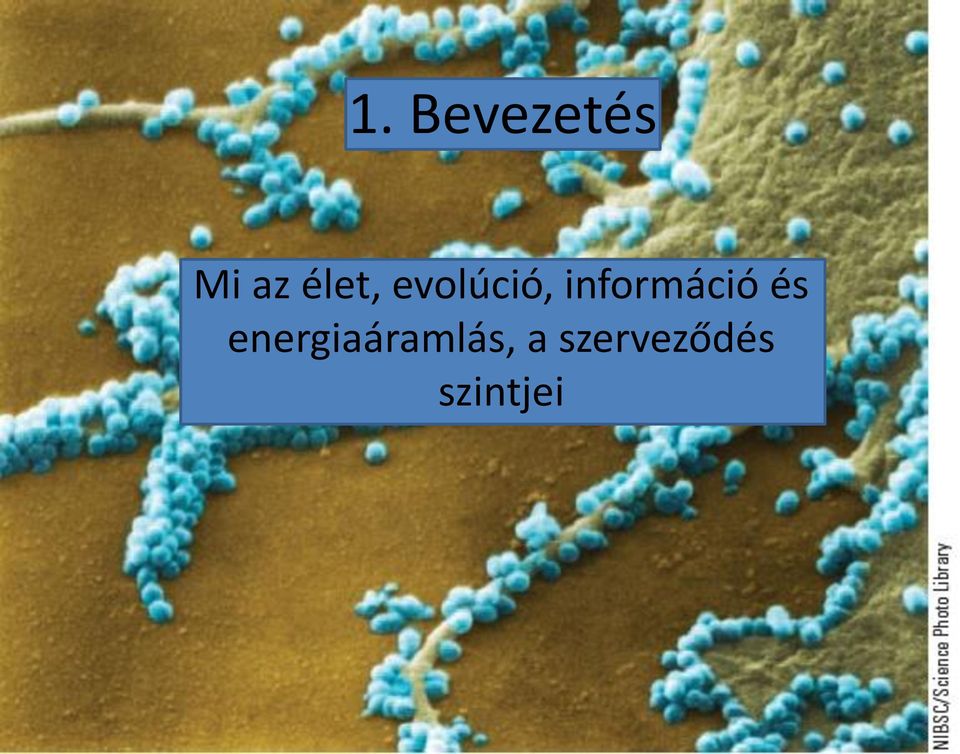információ és