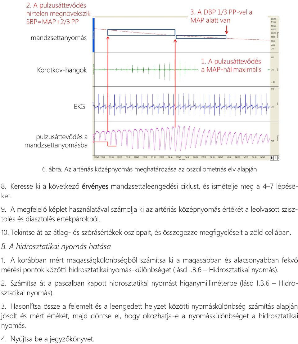 Tekintse át az átlag- és szórásértékek oszlopait, és összegezze megfigyeléseit a zöld cellában. B. A hidrosztatikai nyomás hatása 1.