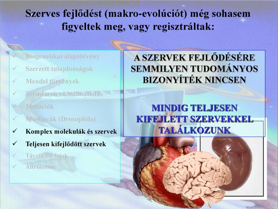 (Drosophila) Komplex molekulák és szervek Teljesen kifejlődött szervek Távoli, ősi fajok Altruizmus