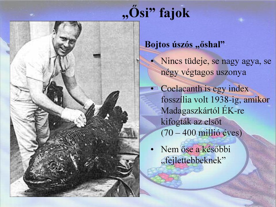 fosszília volt 1938-ig, amikor Madagaszkártól ÉK-re